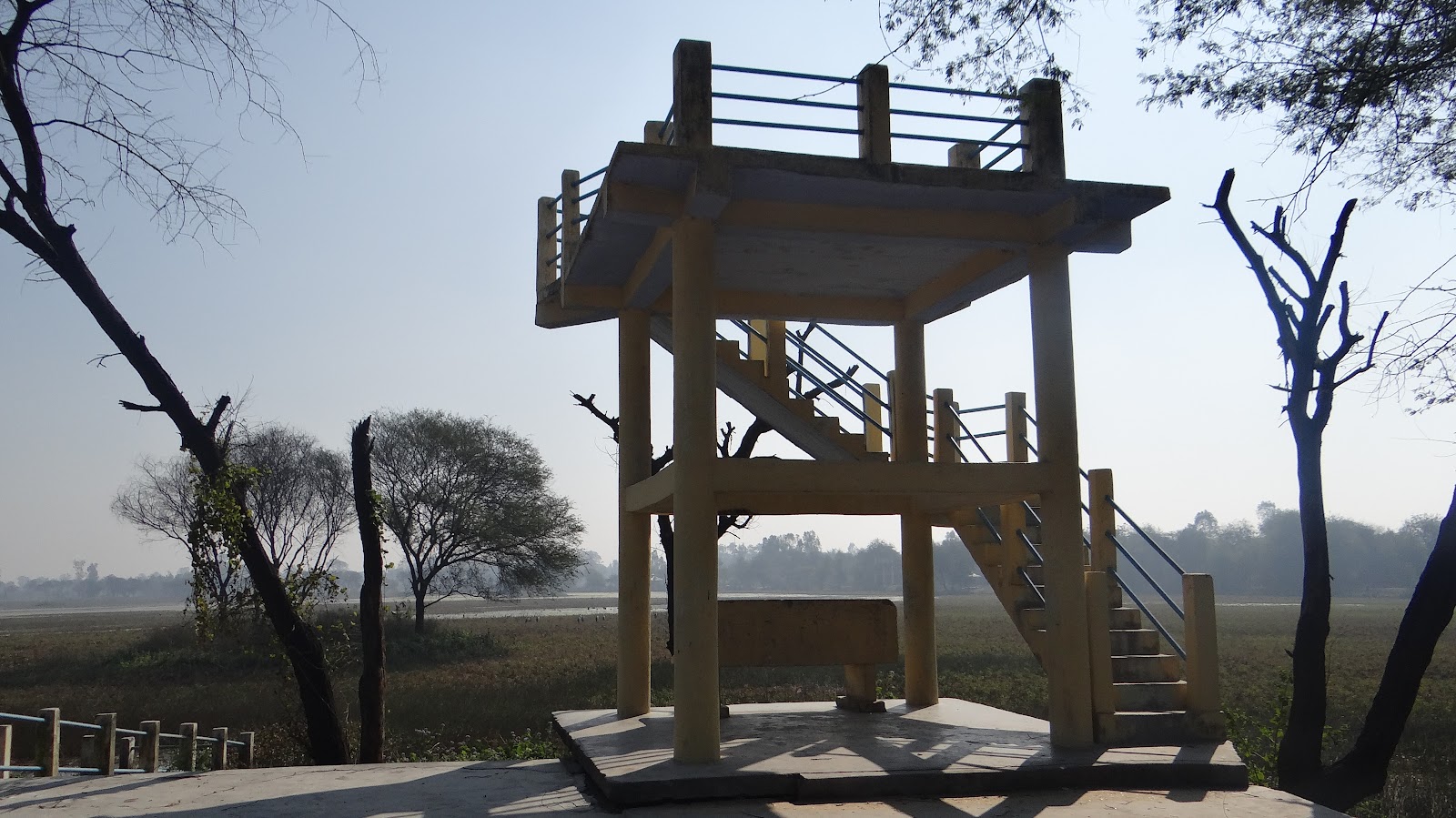 Sandi Bird Sanctuary