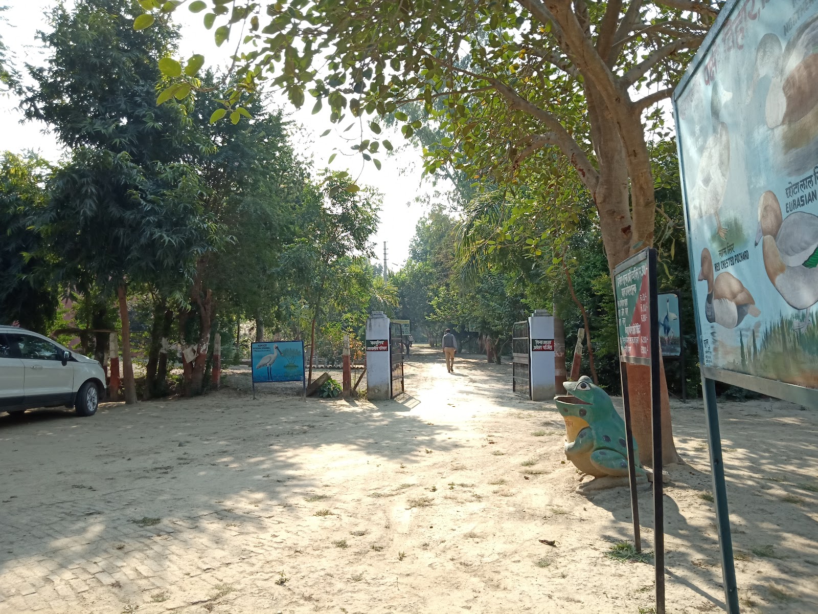 Sandi Bird Sanctuary