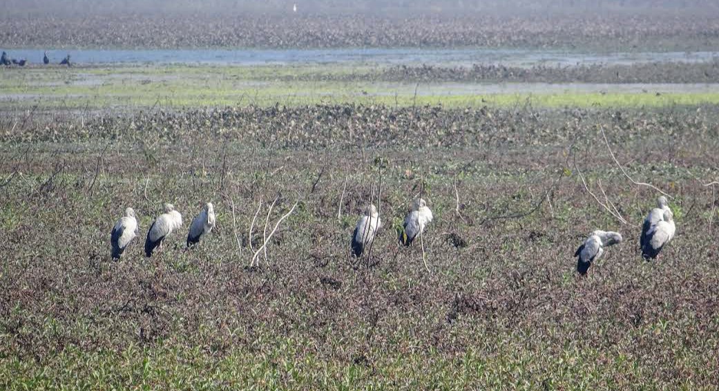 Sandi Bird Sanctuary