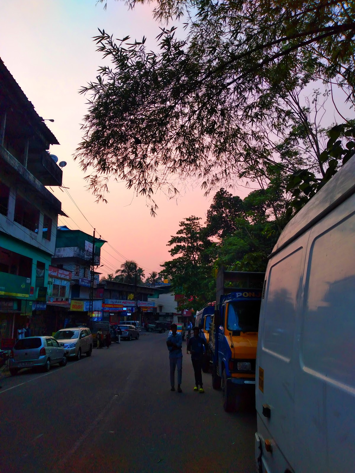 Poonjar Palace