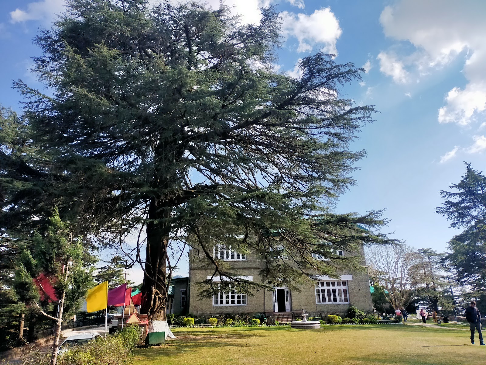 Chail Palace