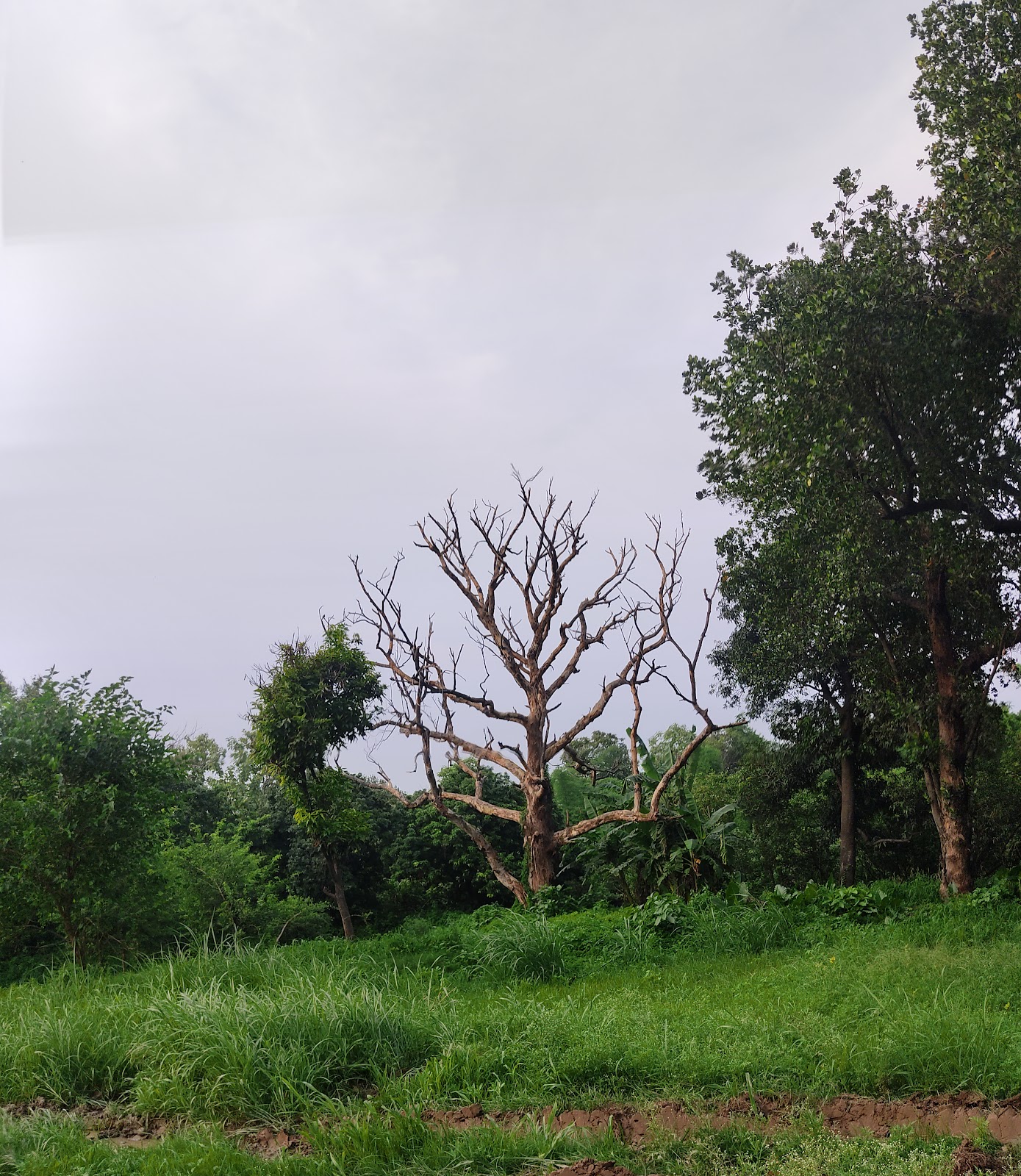 Bahu Begum ka Maqbara