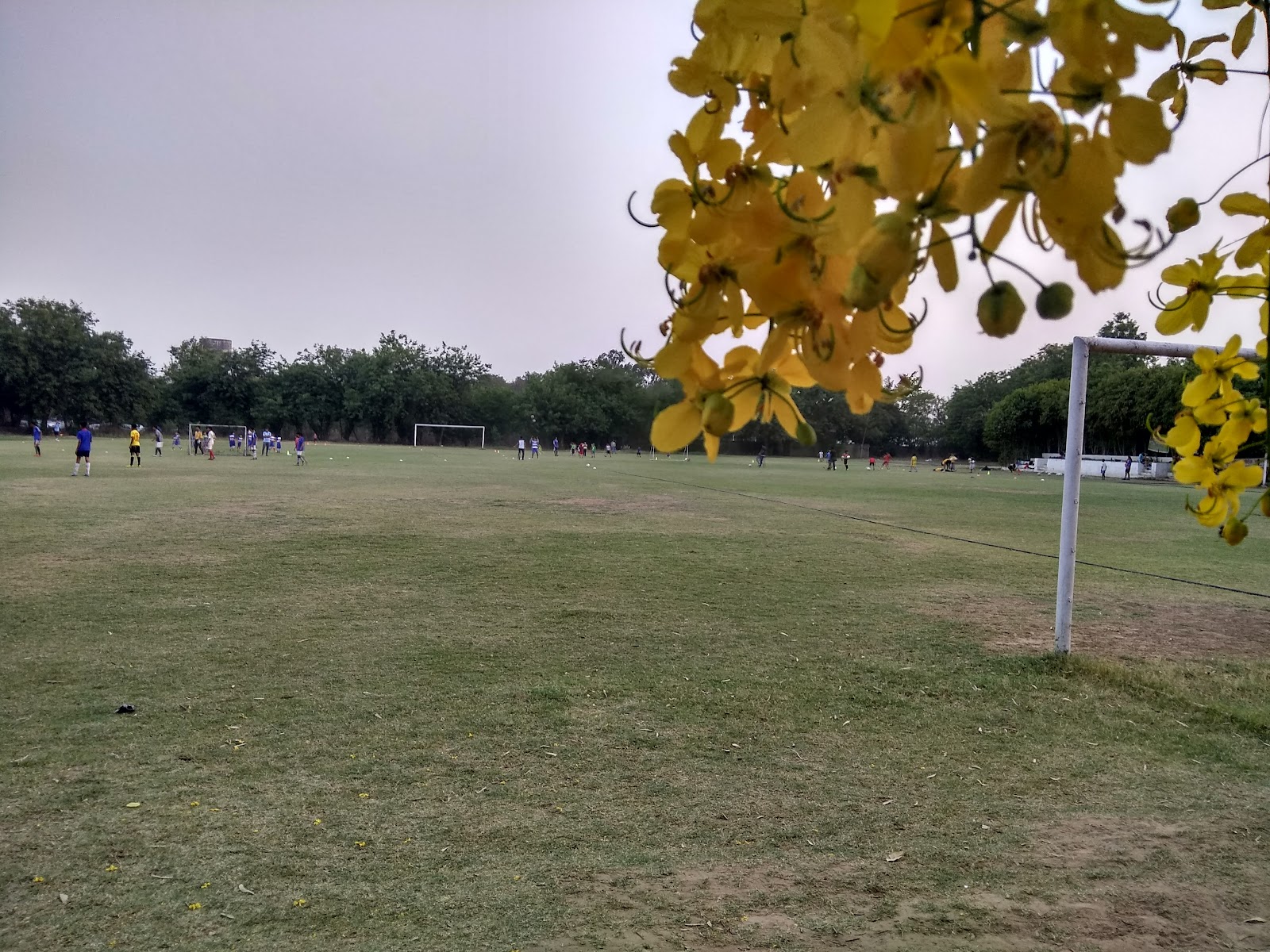 Nahar Singh Cricket Stadium