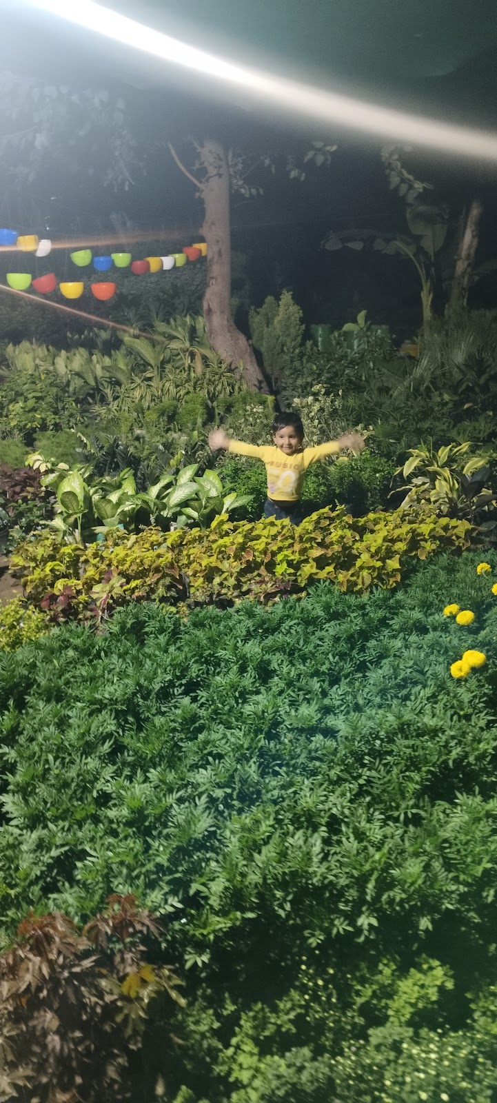 Community Park Fatehgarh Sahib