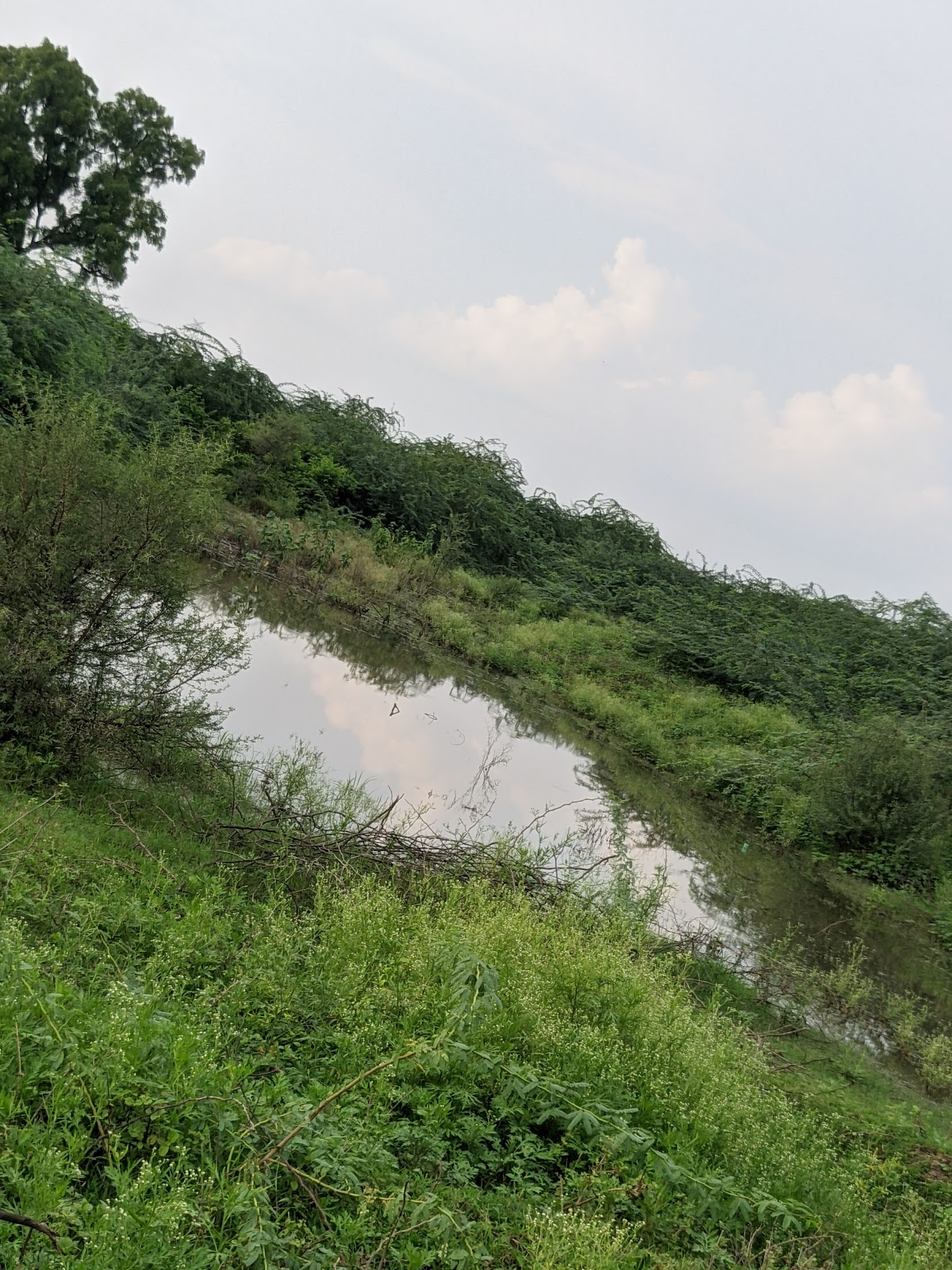 Bhita Archaeological Site