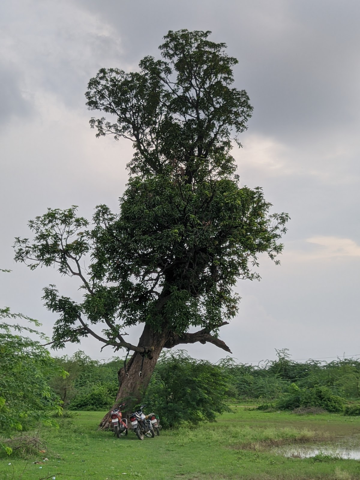 Bhita Archaeological Site
