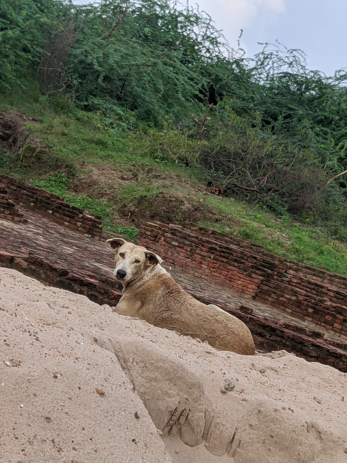 Bhita Archaeological Site