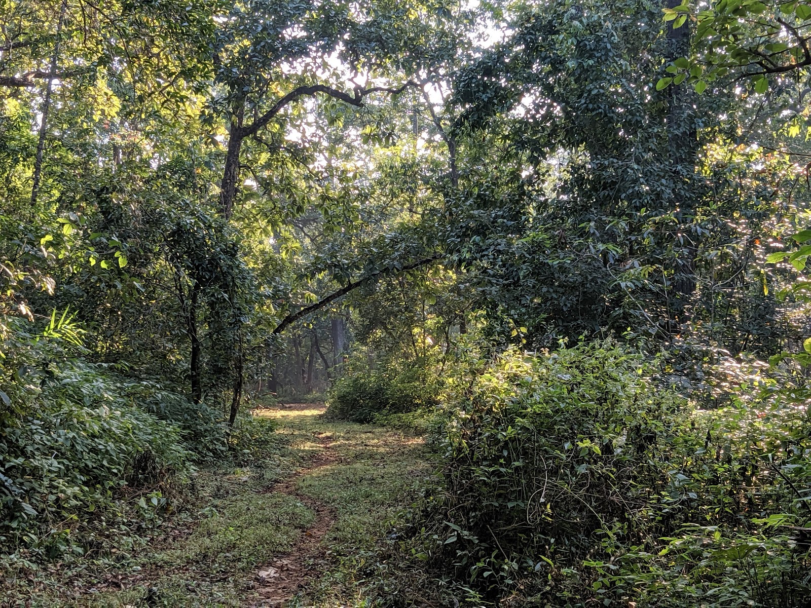 Cotigao Wildlife Sanctuary