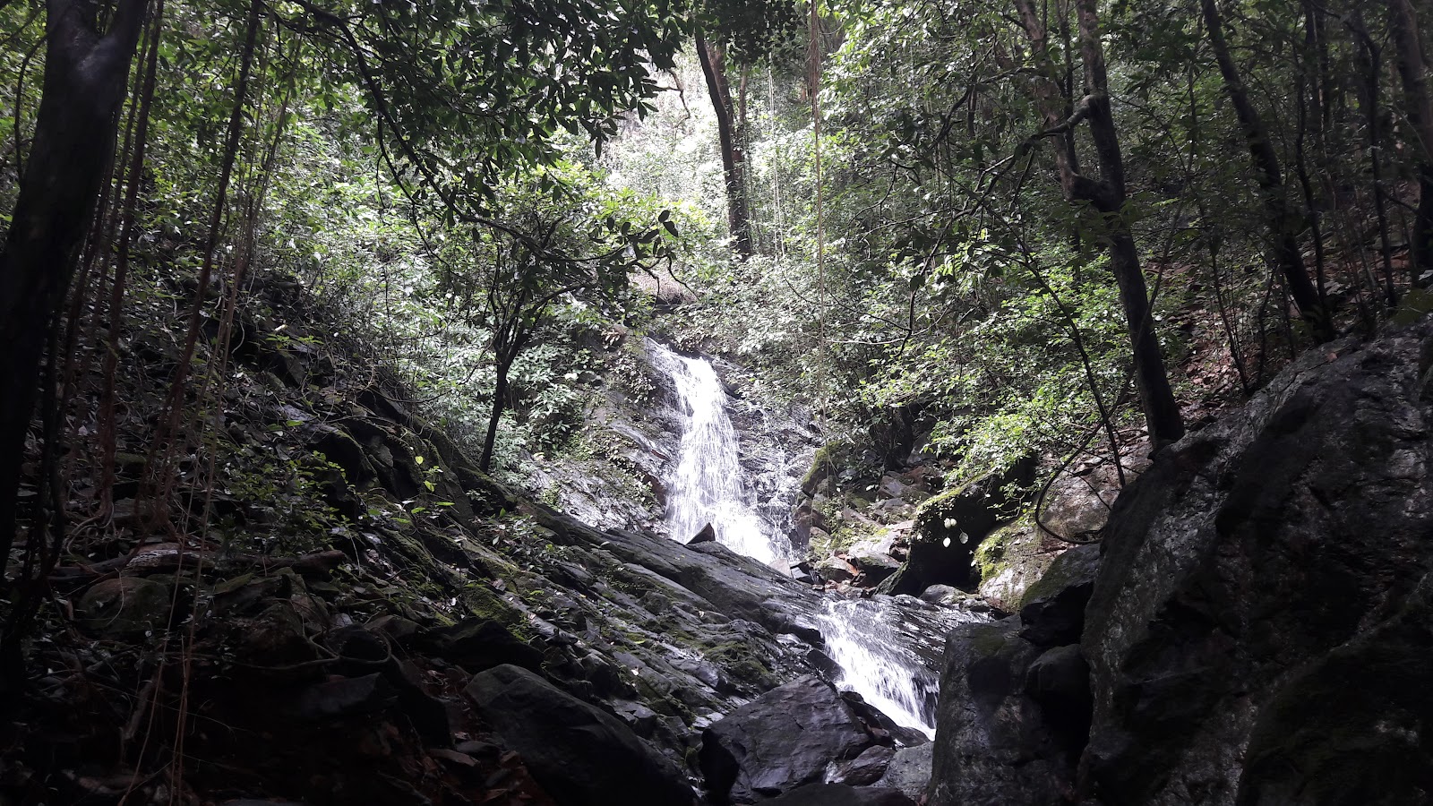 Cotigao Wildlife Sanctuary