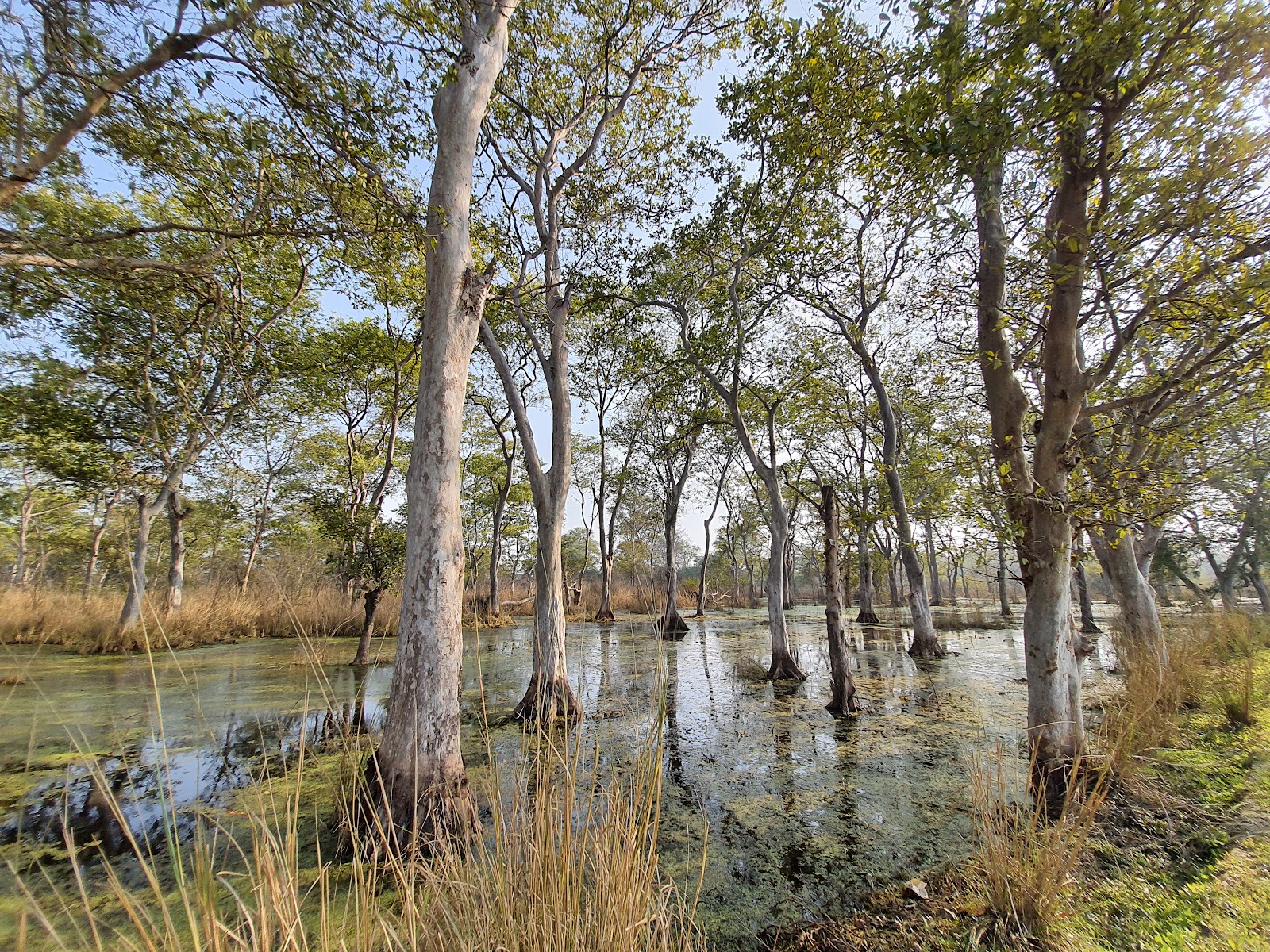 Nawabganj Lake