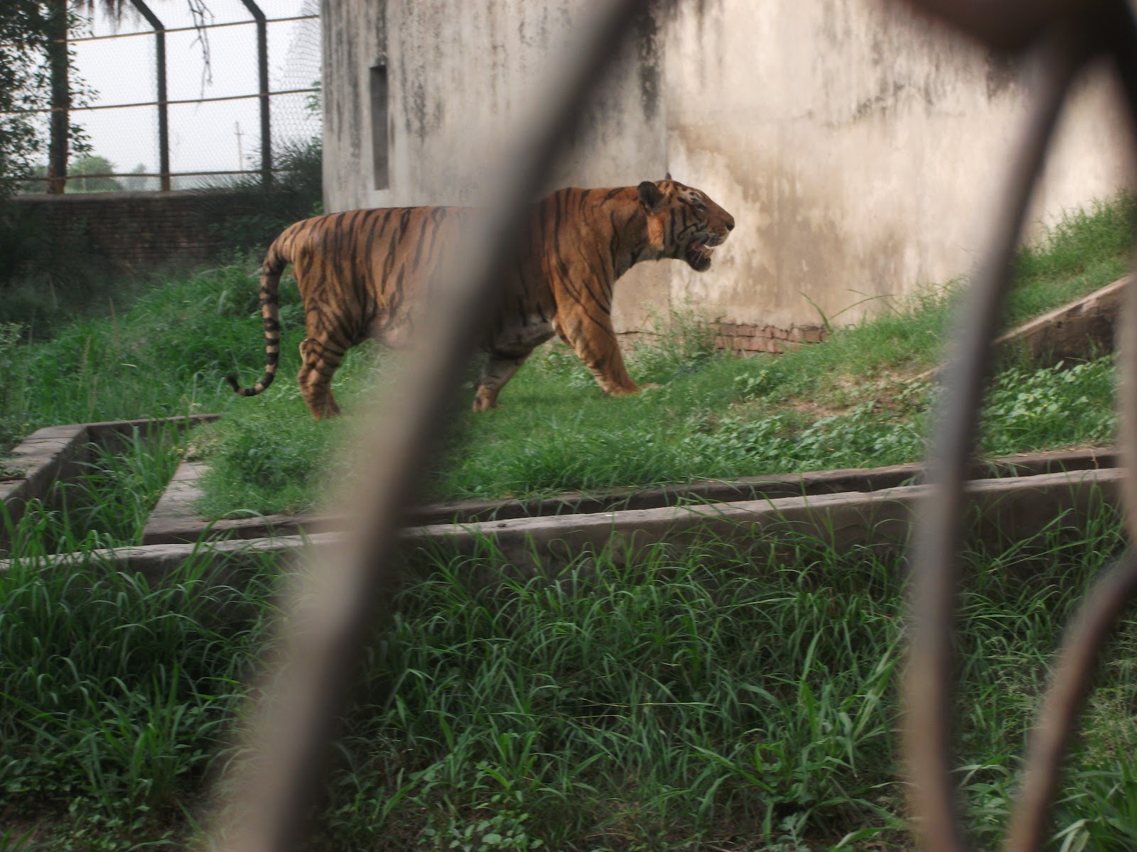 Firozpur Zoo