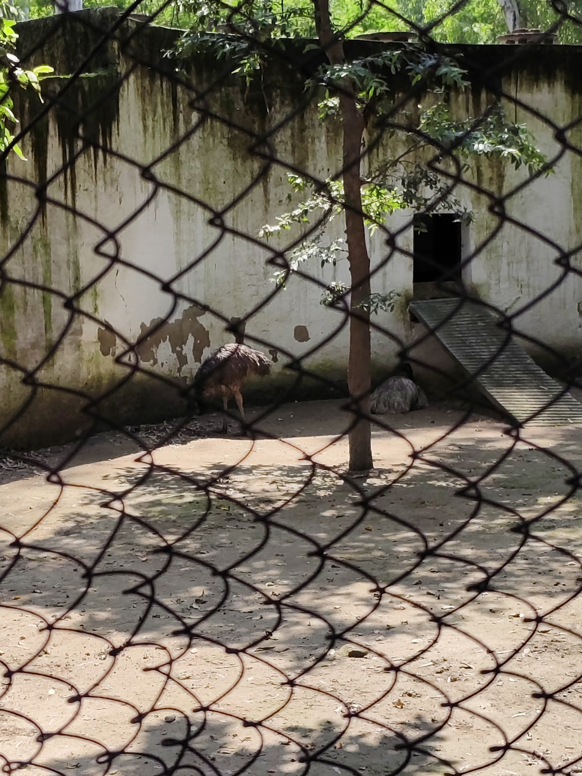 Firozpur Zoo