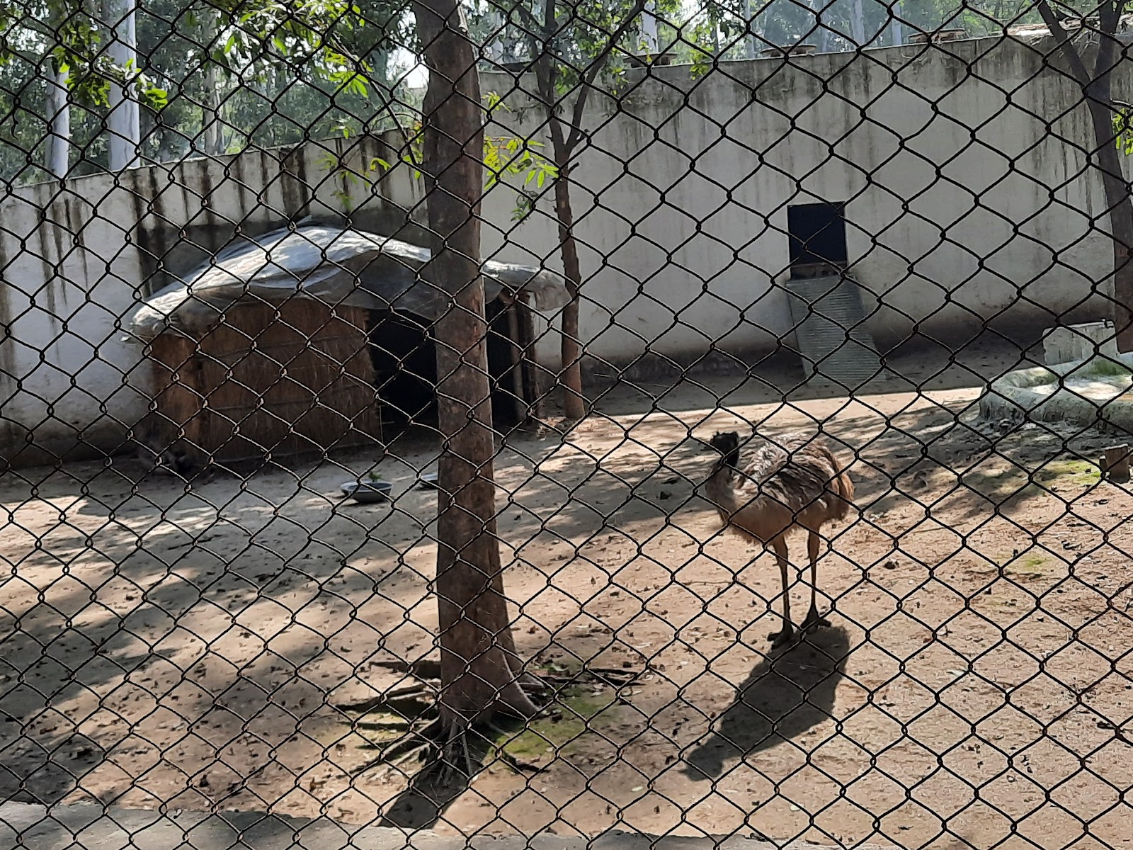 Firozpur Zoo