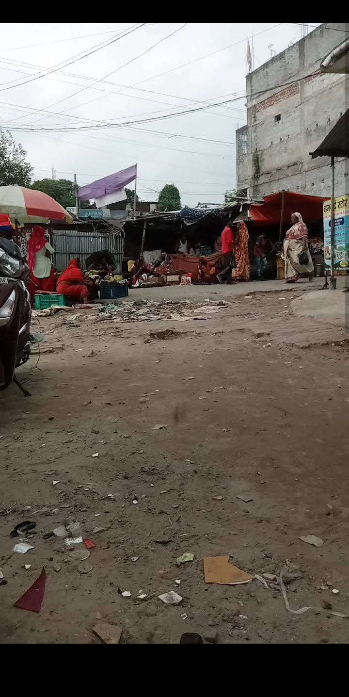 Local Market