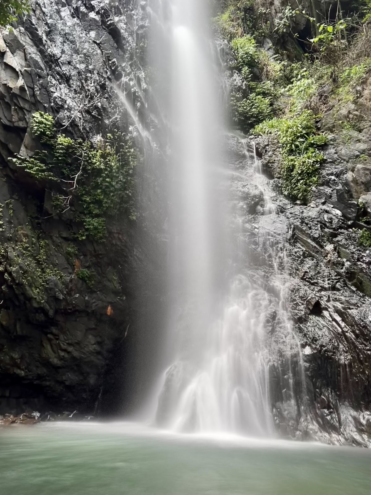 Cotigao Wildlife Sanctuary