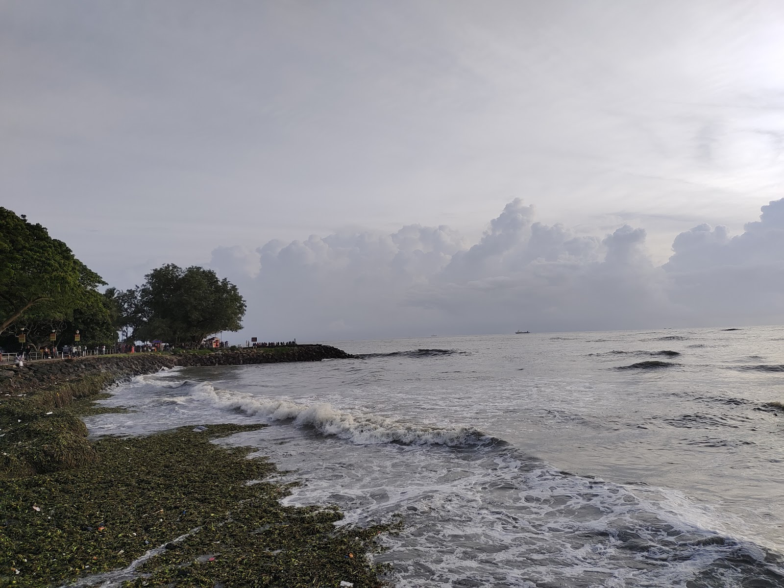 Fort Kochi Beach