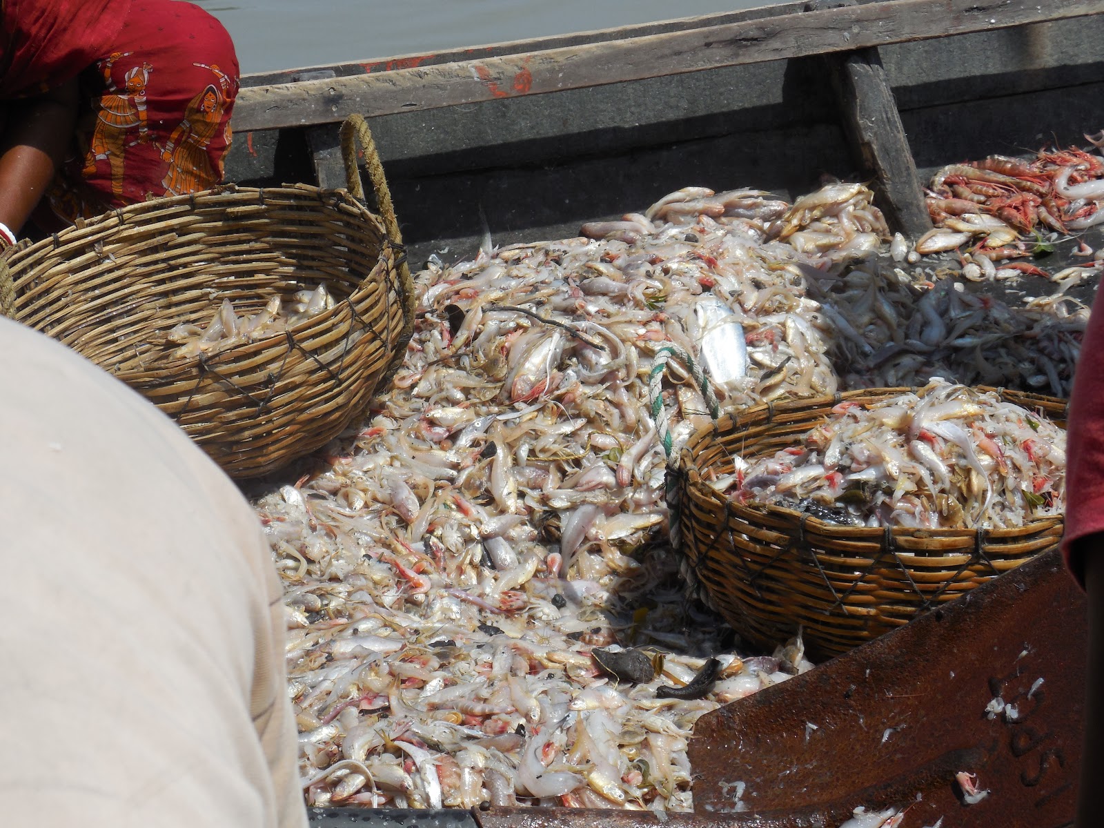 Local Fishing Villages