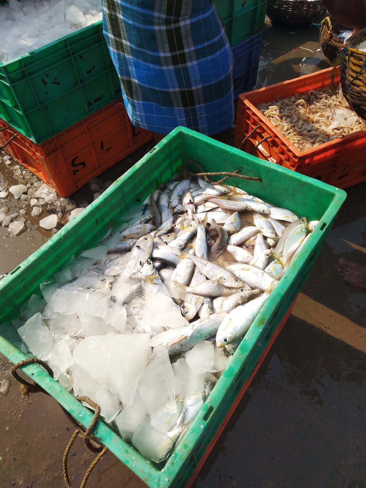 Local Fishing Villages