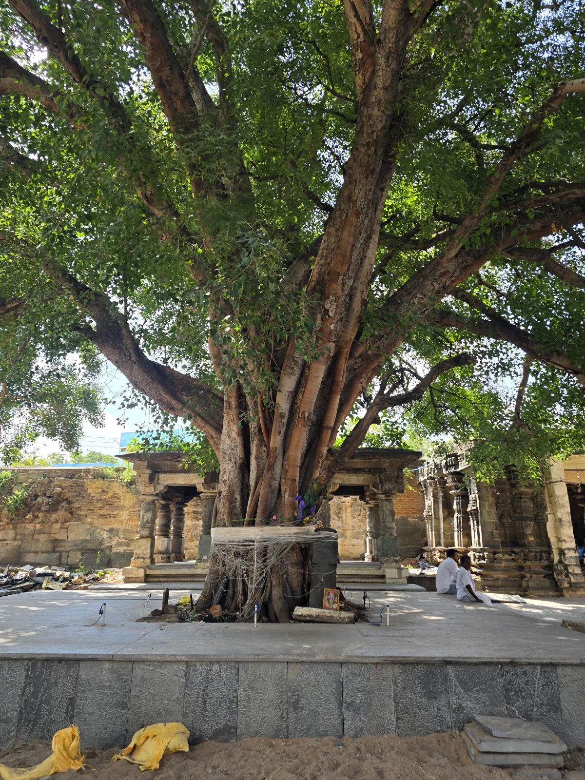 Anivara Temple