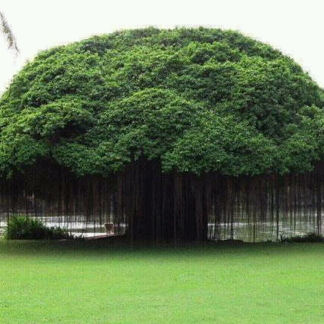 Gadheshwar Mahadev Temple