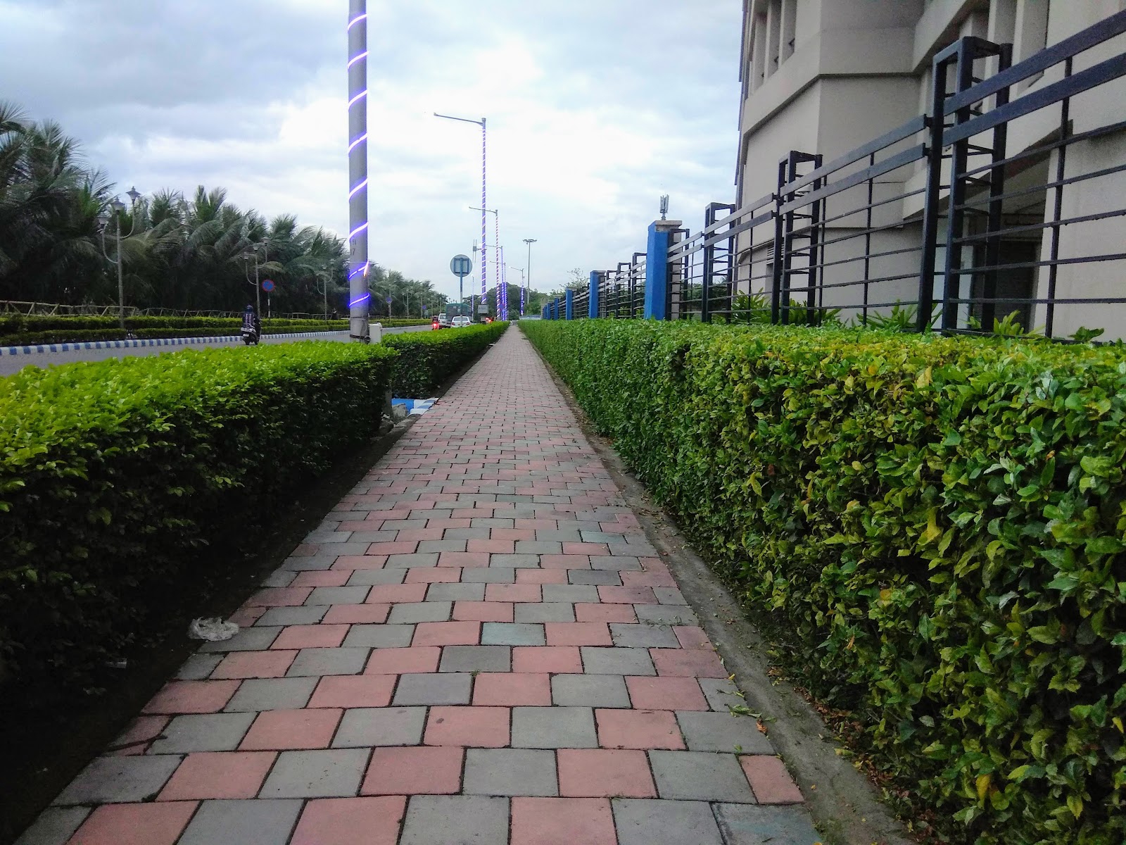 Cycling Trails
