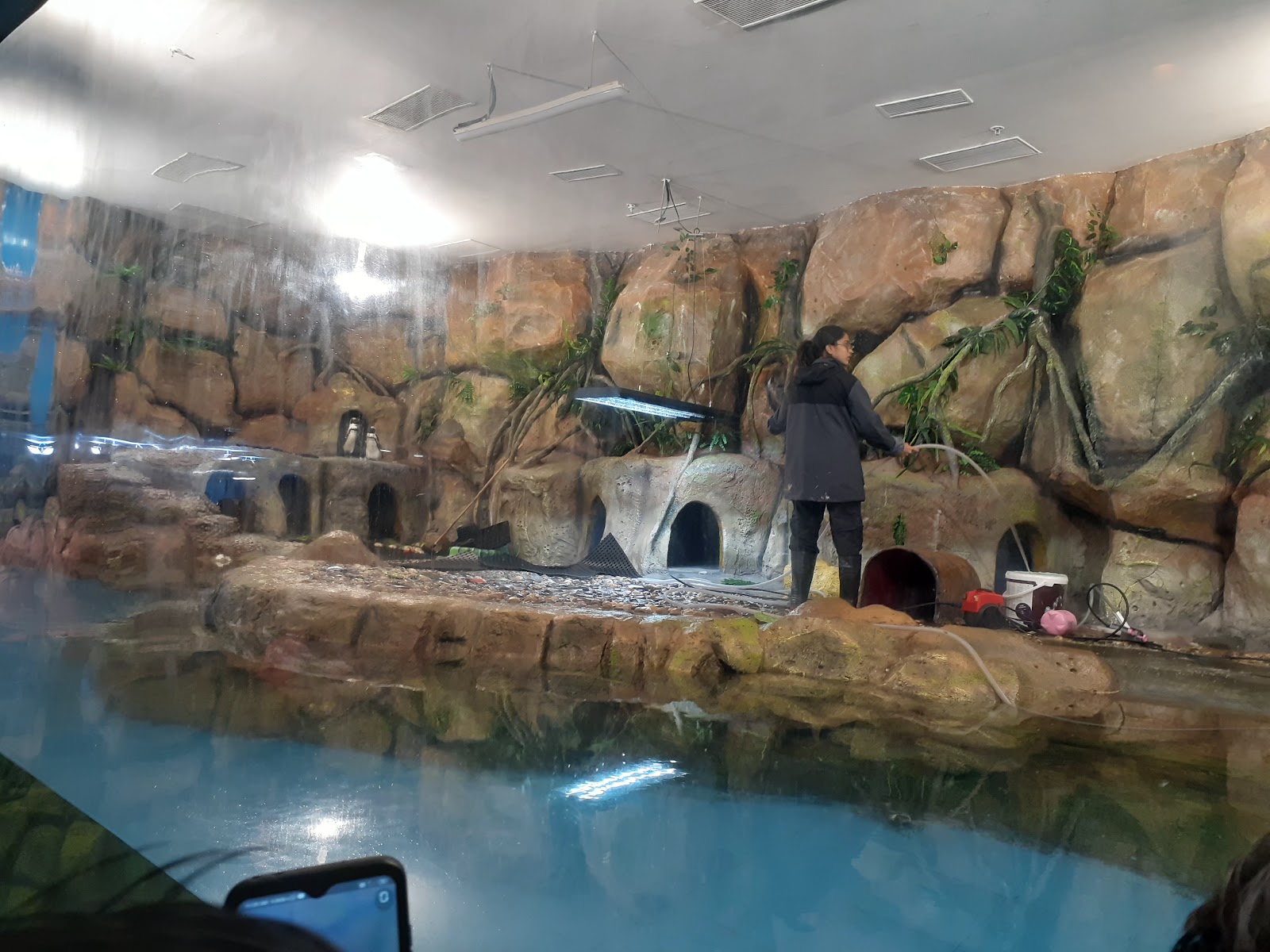 Gujarat Science City