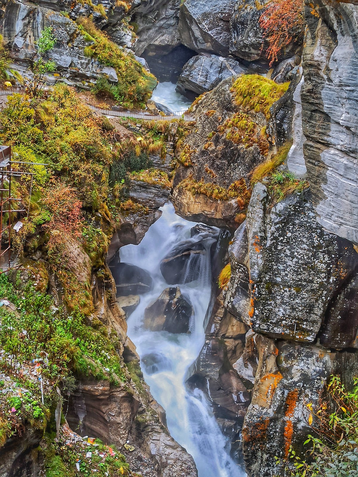 Nanda Devi National Park