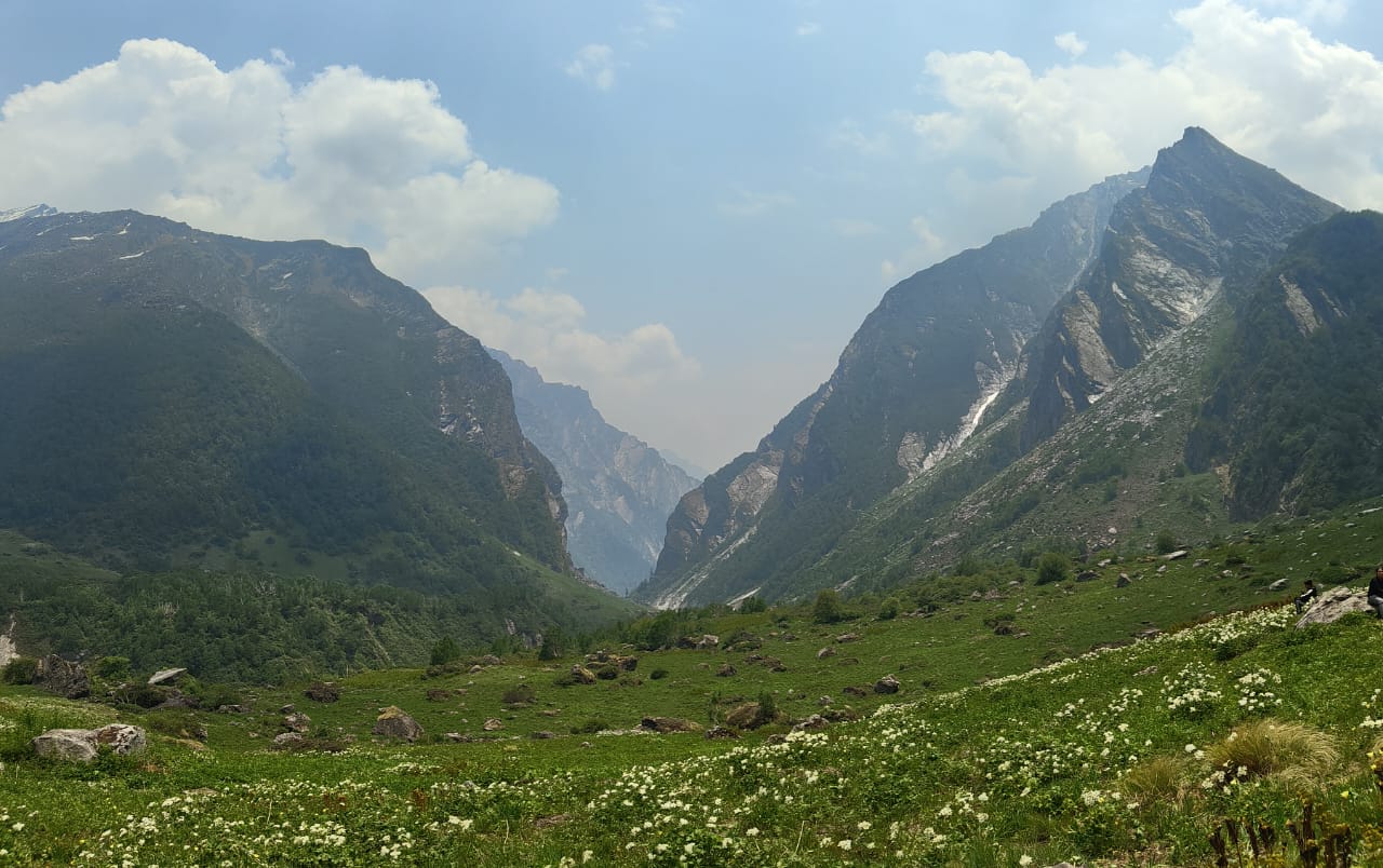 Valley of Flowers National Park