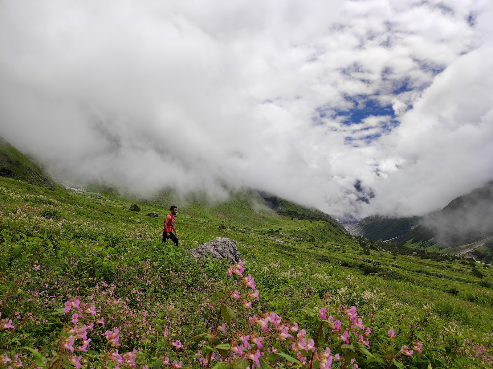Valley of Flowers National Park