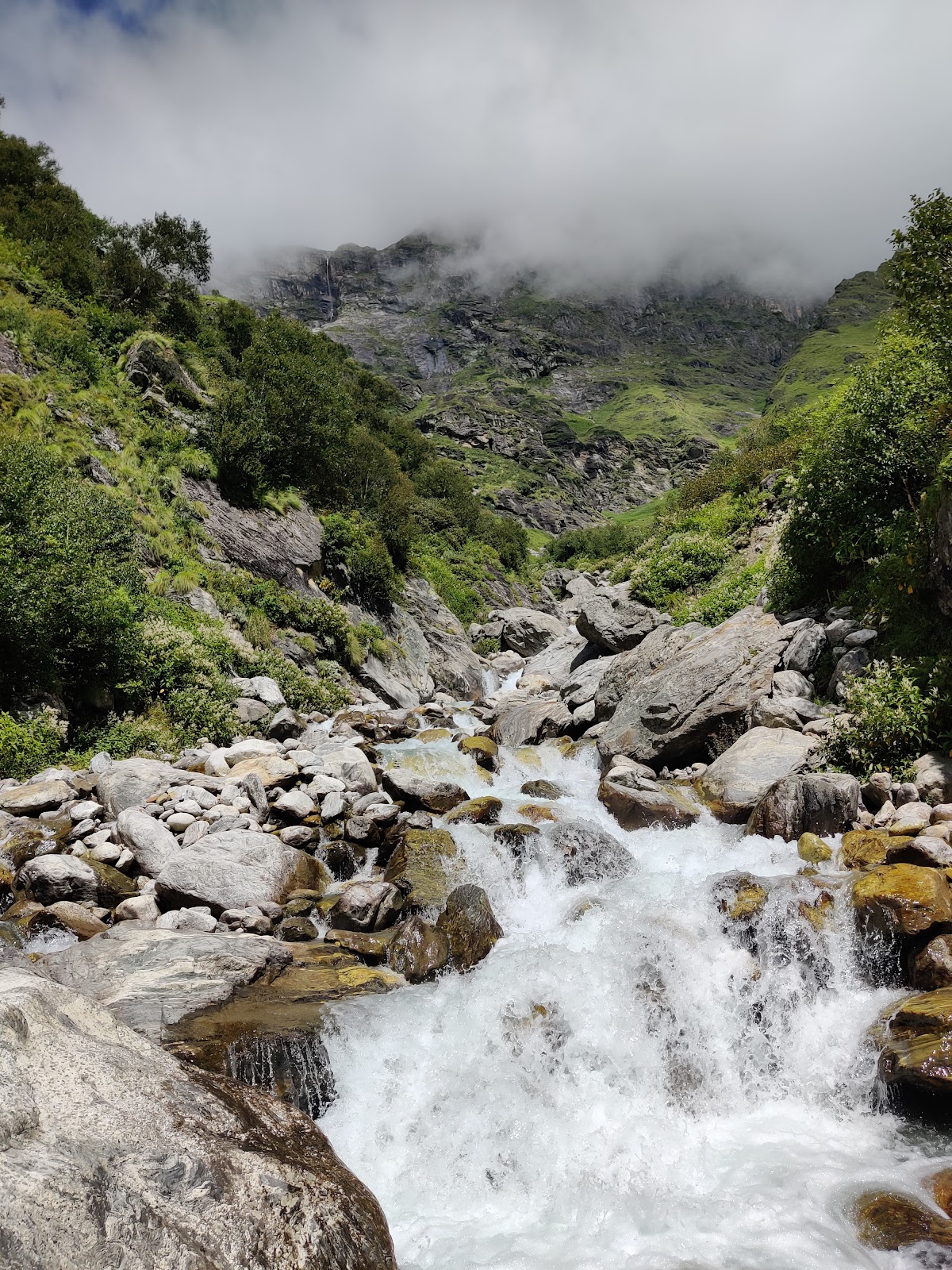Valley of Flowers National Park
