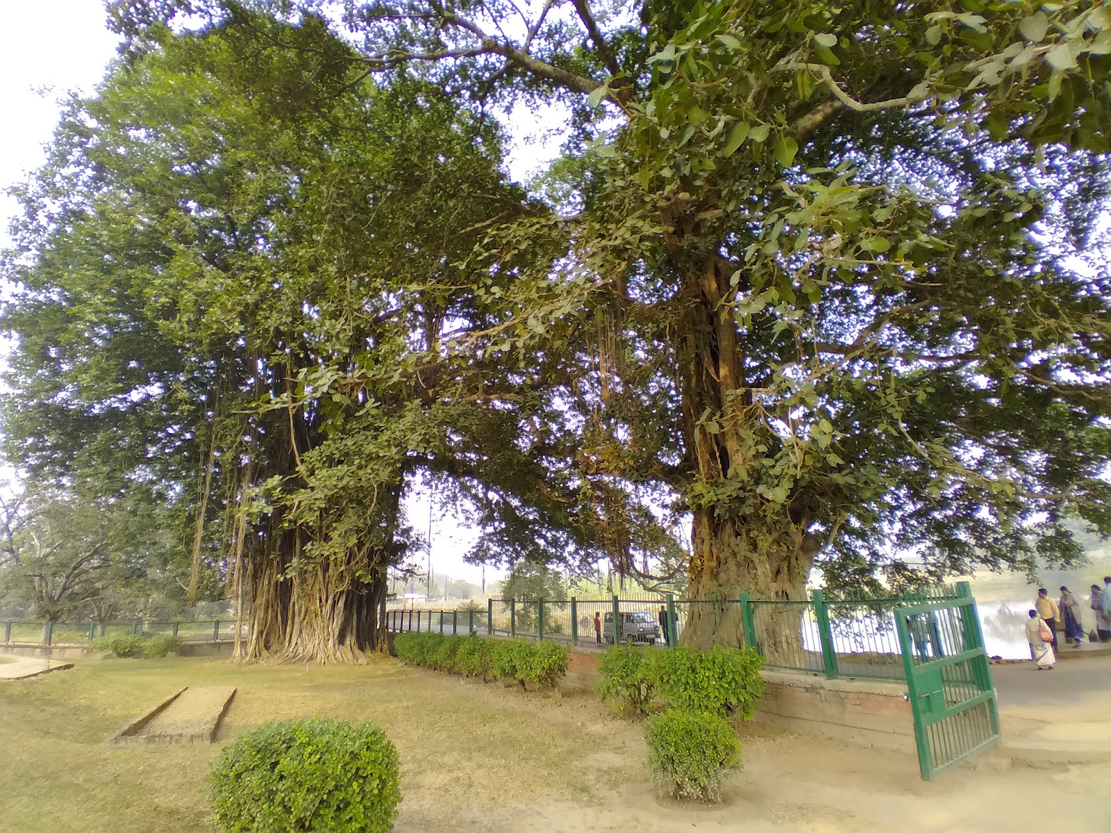 Firoz Minar