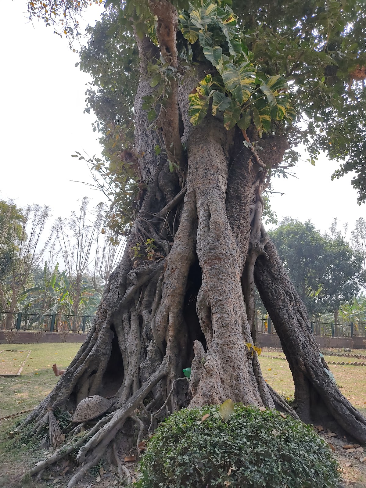 Firoz Minar