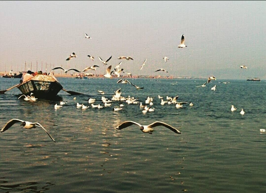 Ganges Riverbank