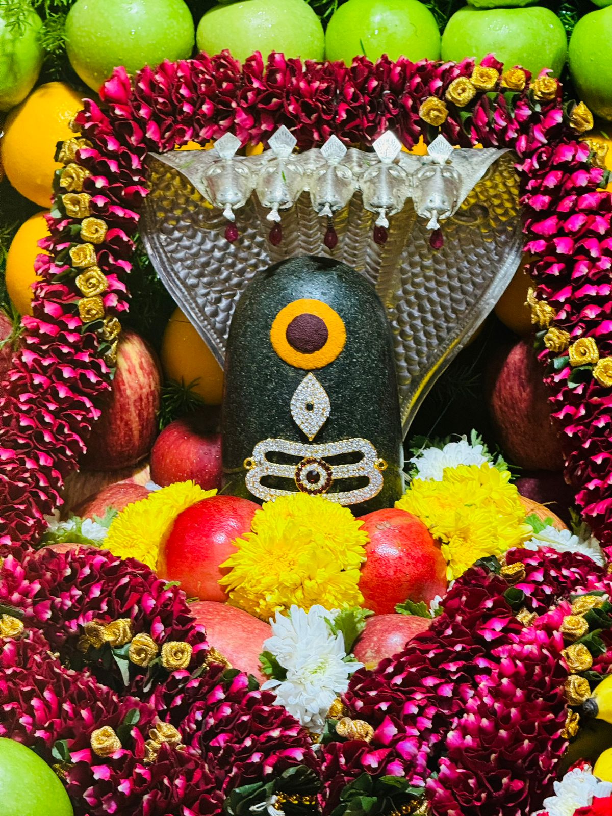 Sri Kashi Vishwanatha Temple