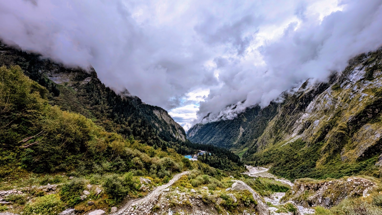 Valley of Flowers National Park