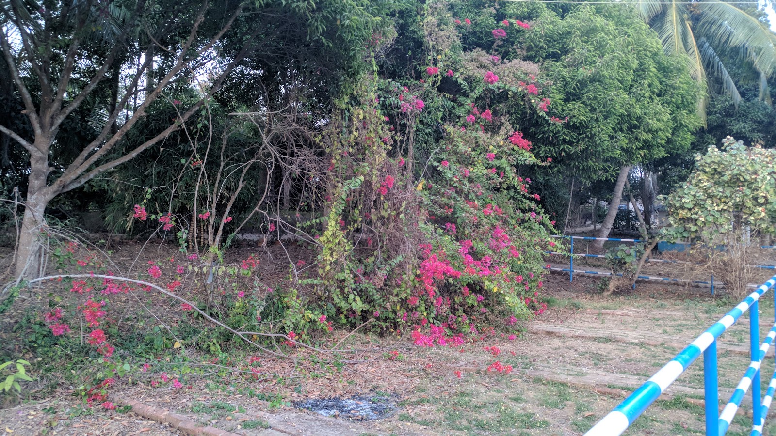 Bengal Heritage Museum