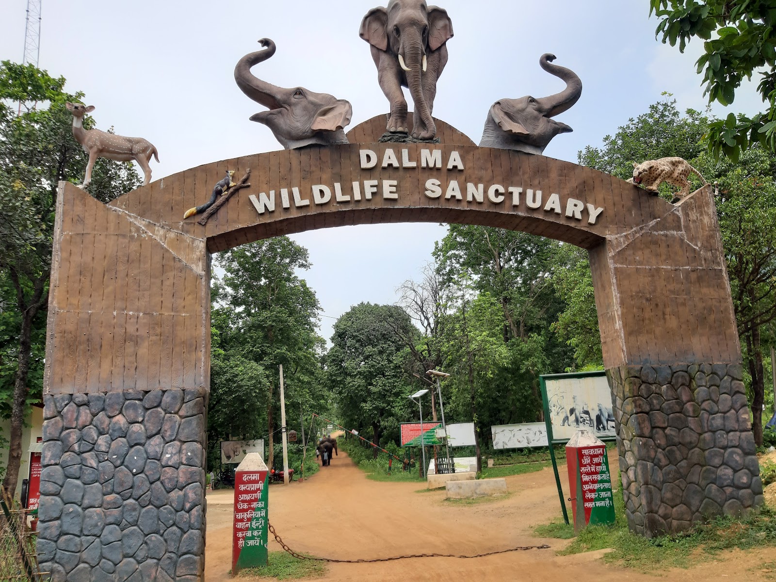 Dalma Wildlife Sanctuary