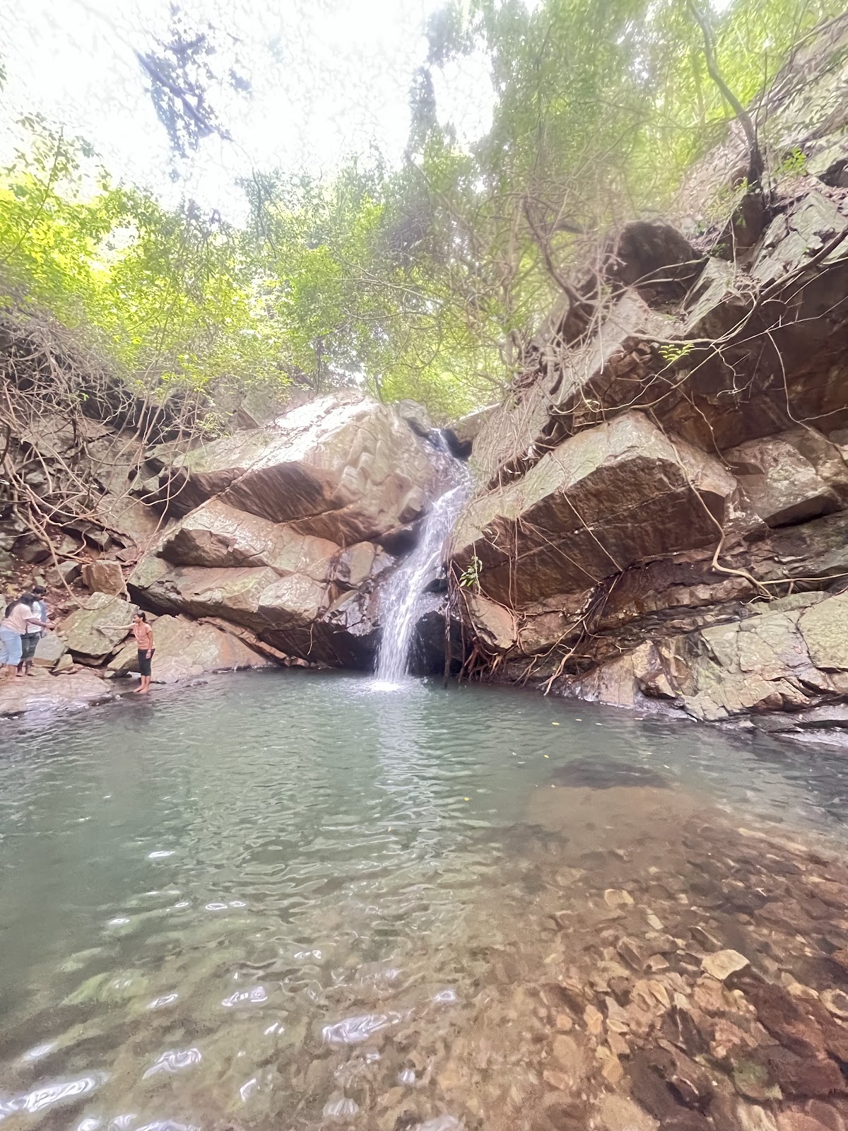 Dalma Wildlife Sanctuary