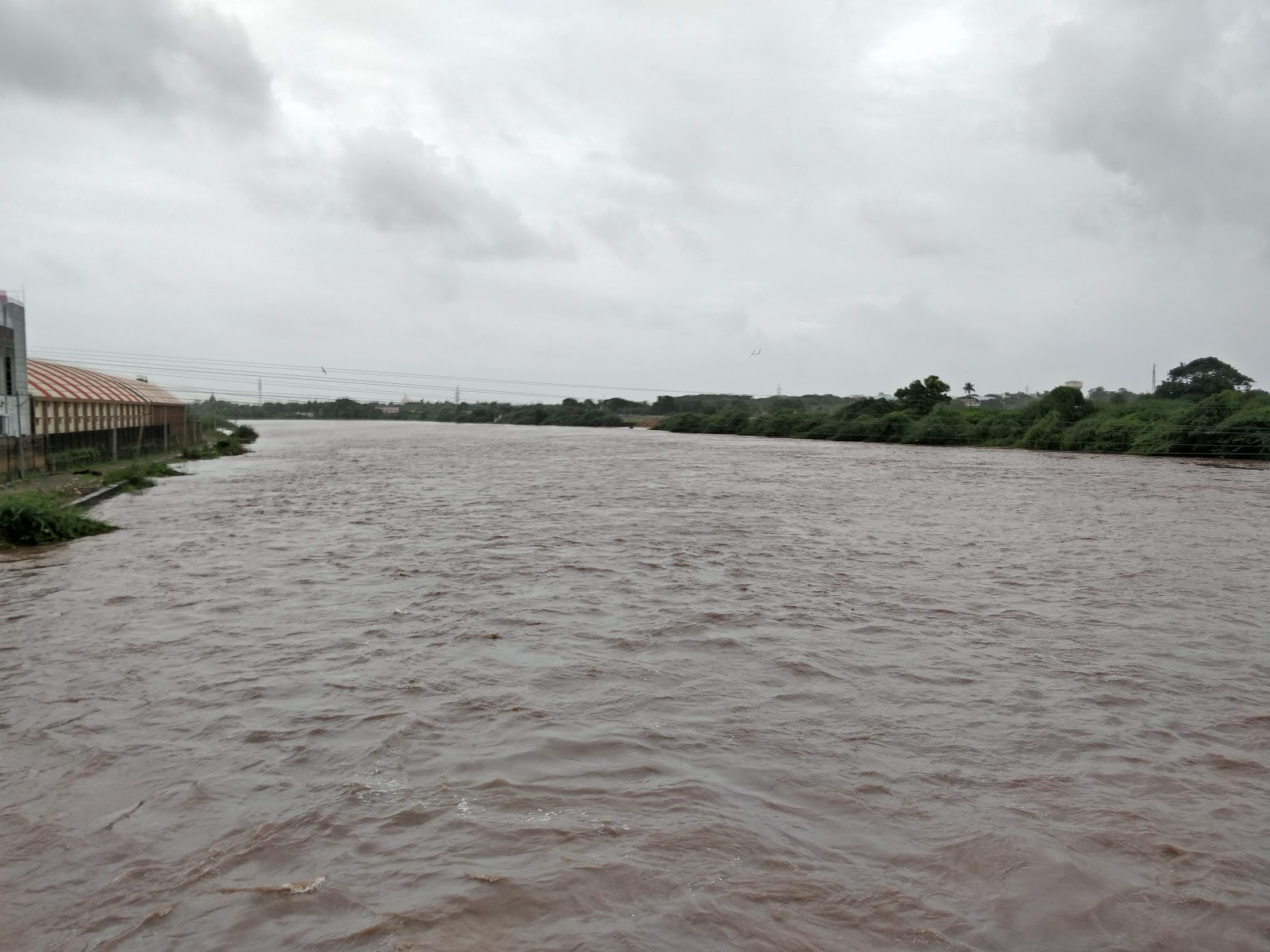 Hiran River Bank