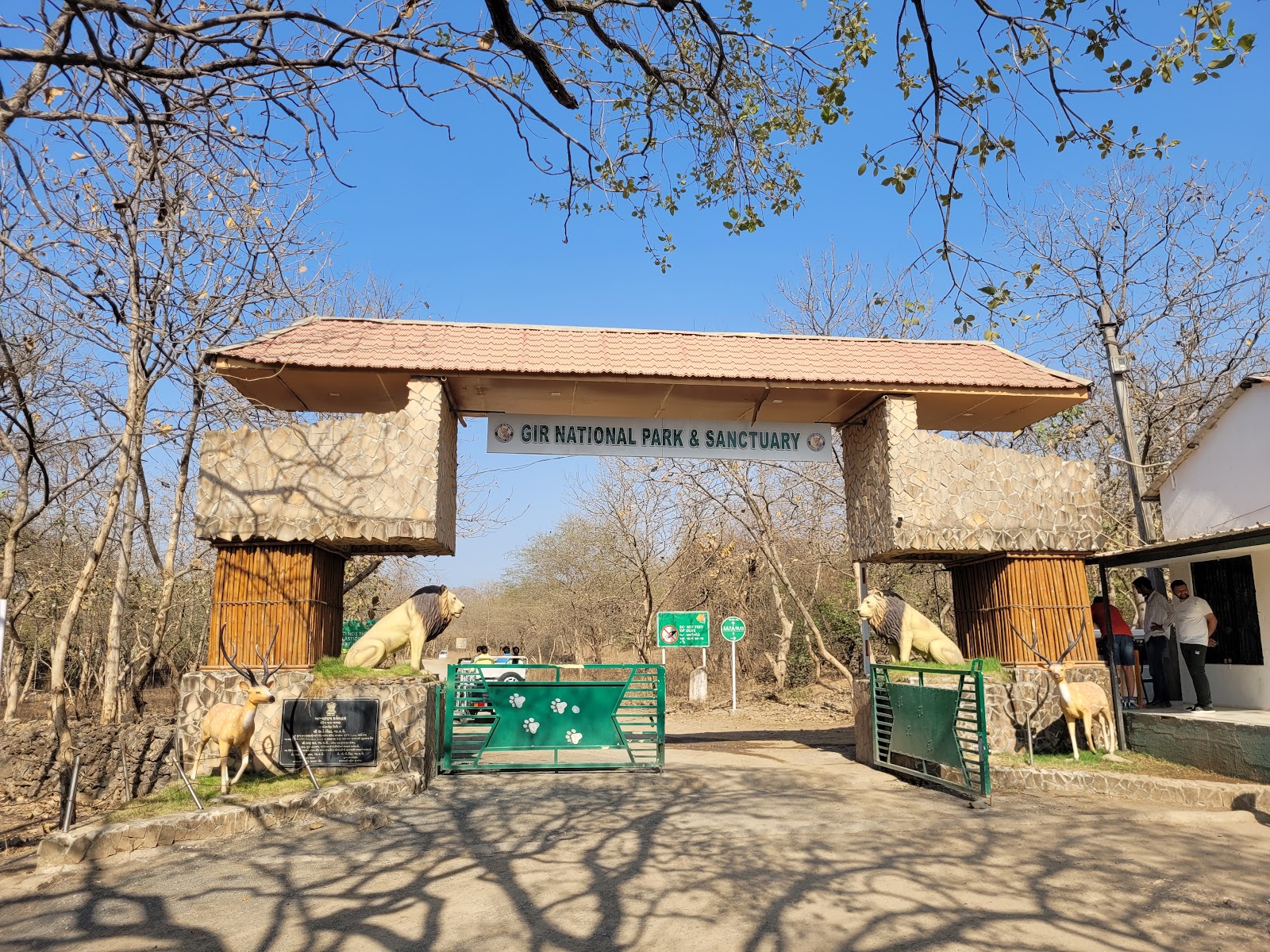 Sasan Gir National Park