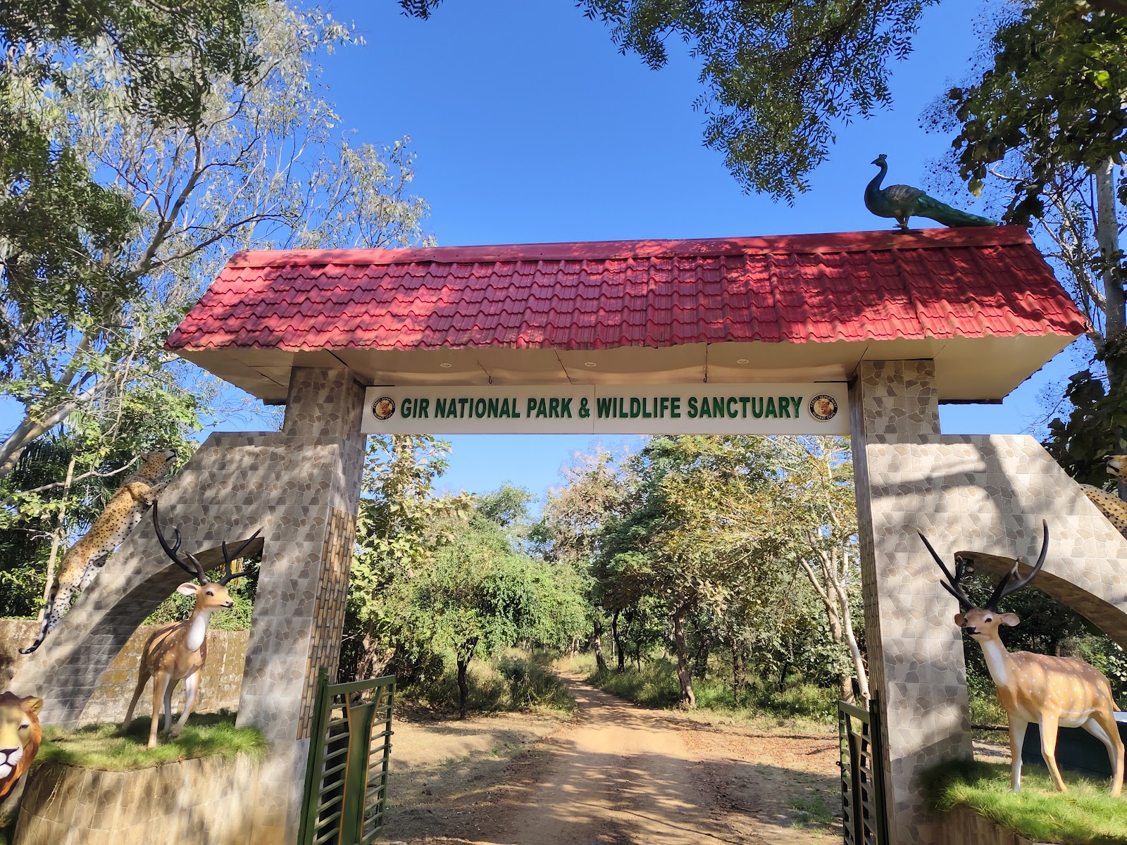 Sasan Gir National Park
