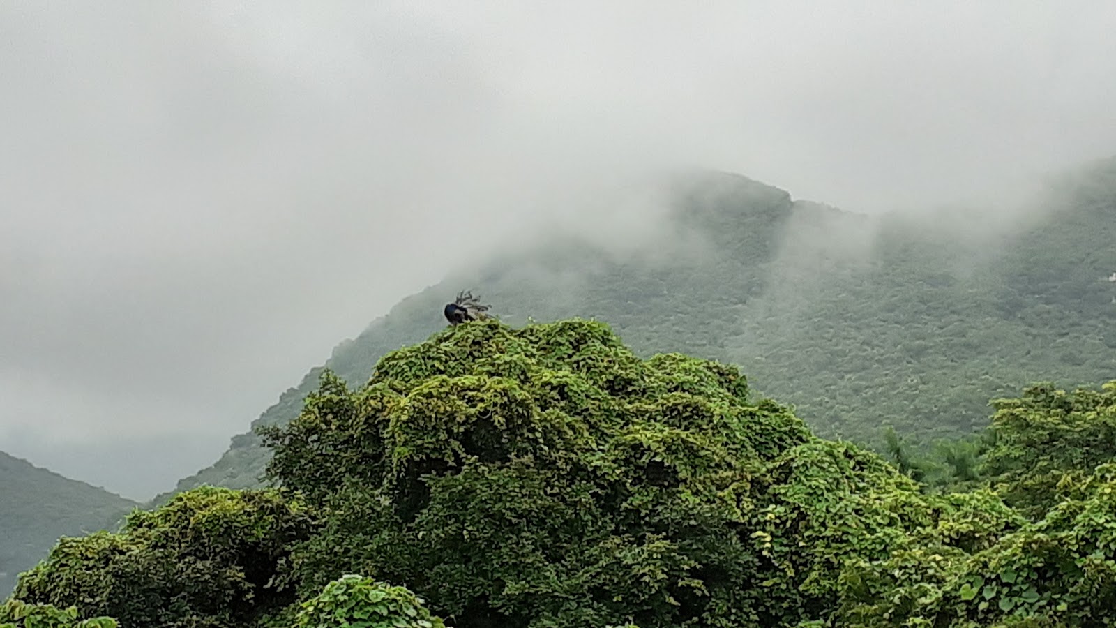 Uparkot Fort Junagadh
