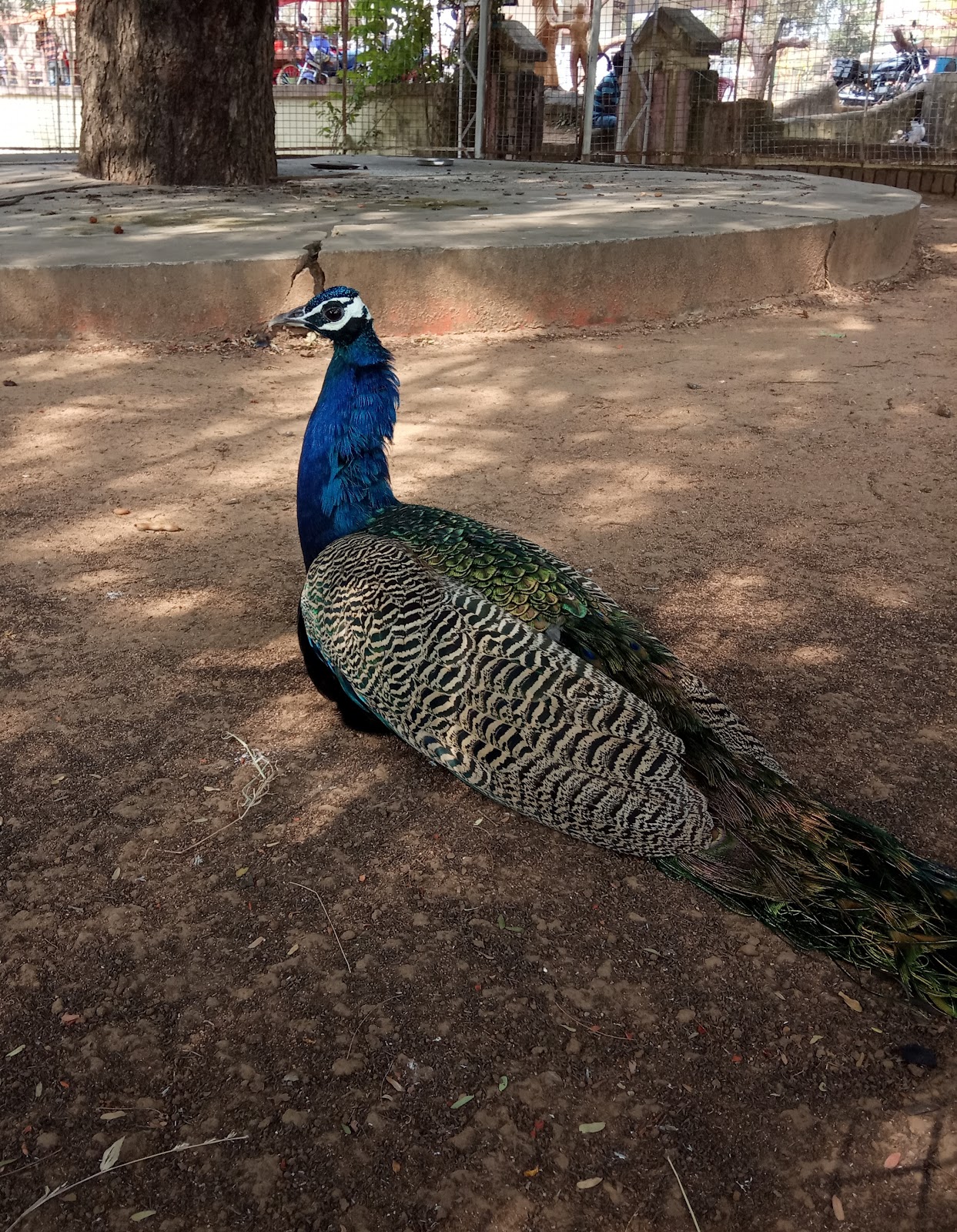 Khandoli Reservoir and Park