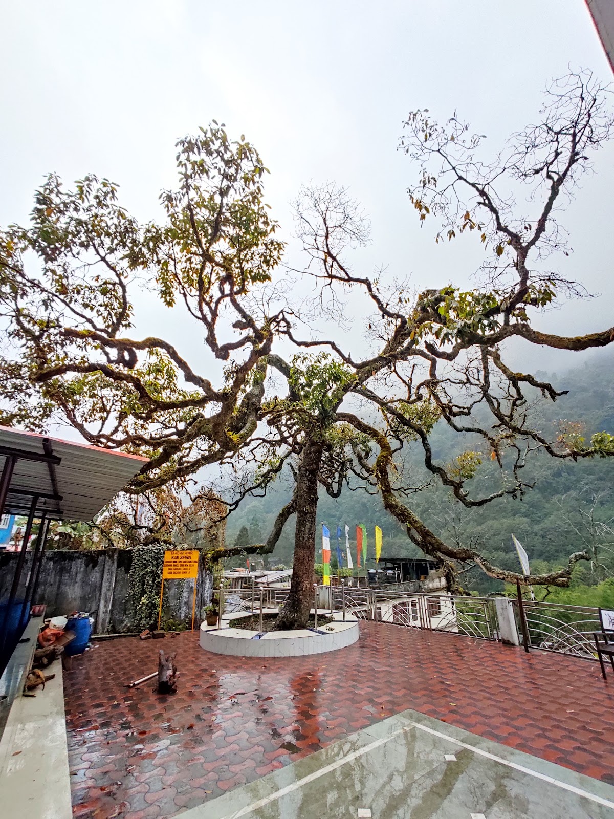 Chungthang Scenic Point