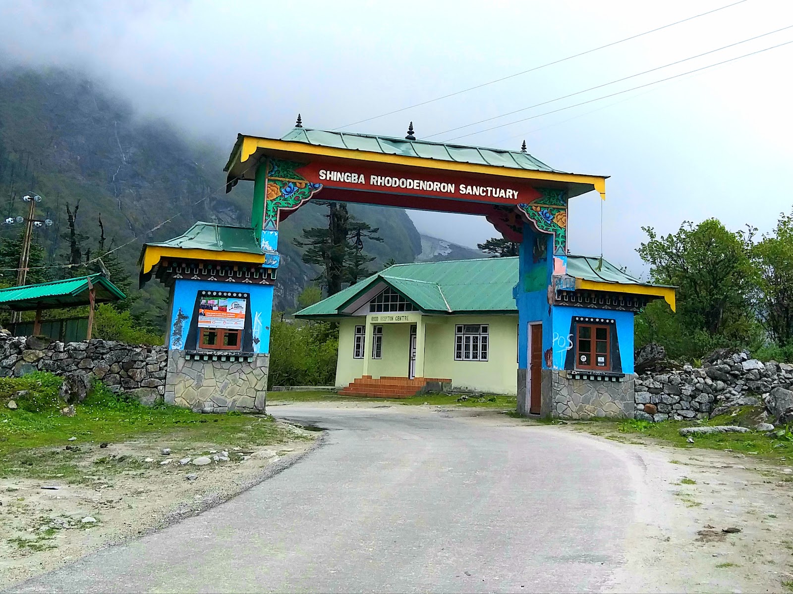 Yumthang Valley Shingba Rhododendron Sanctuary