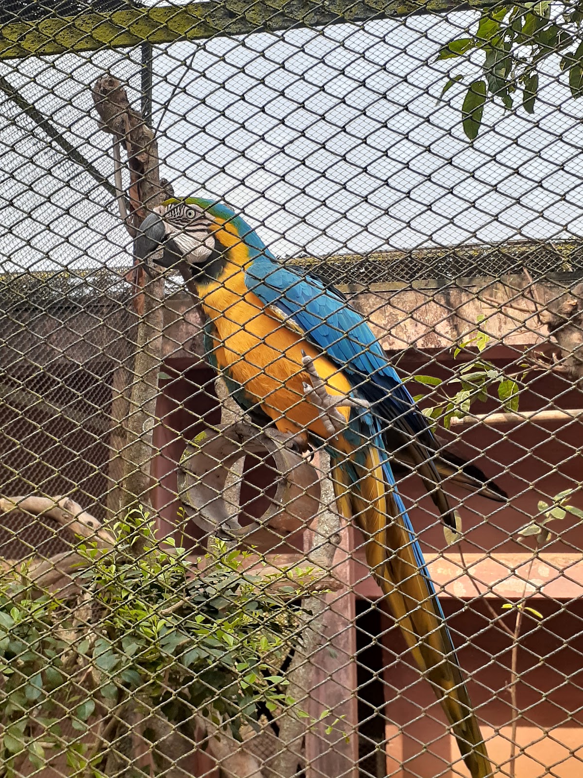 Assam State Zoo