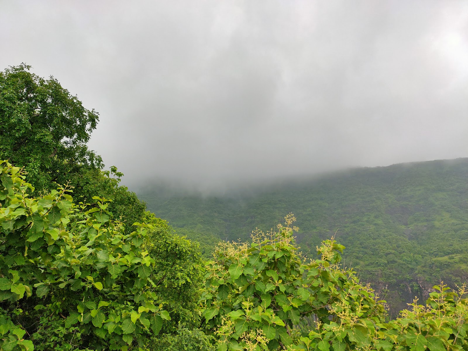 Pavagadh Hill