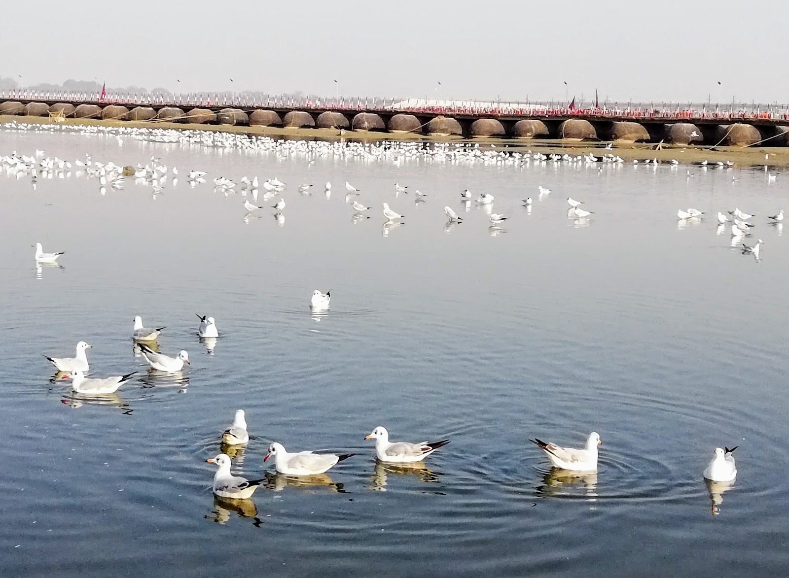 Yamuna River Bank