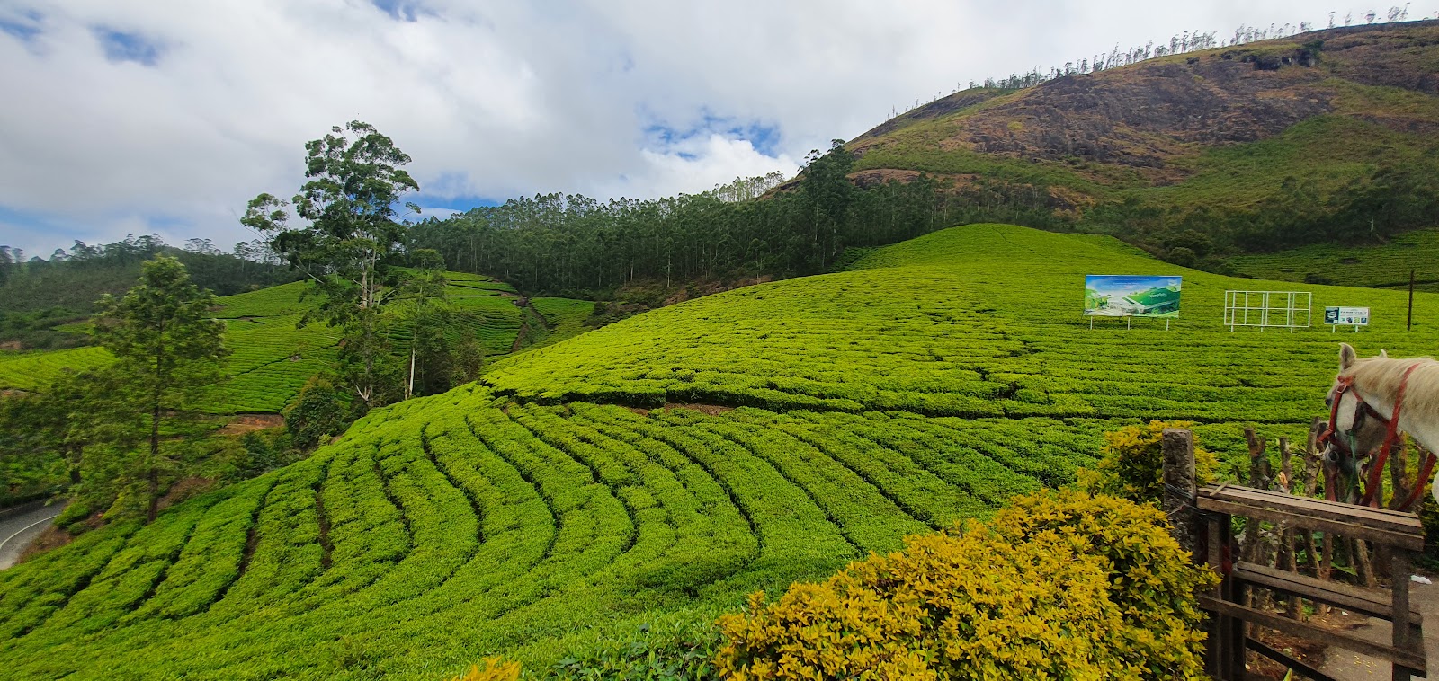 Munnar