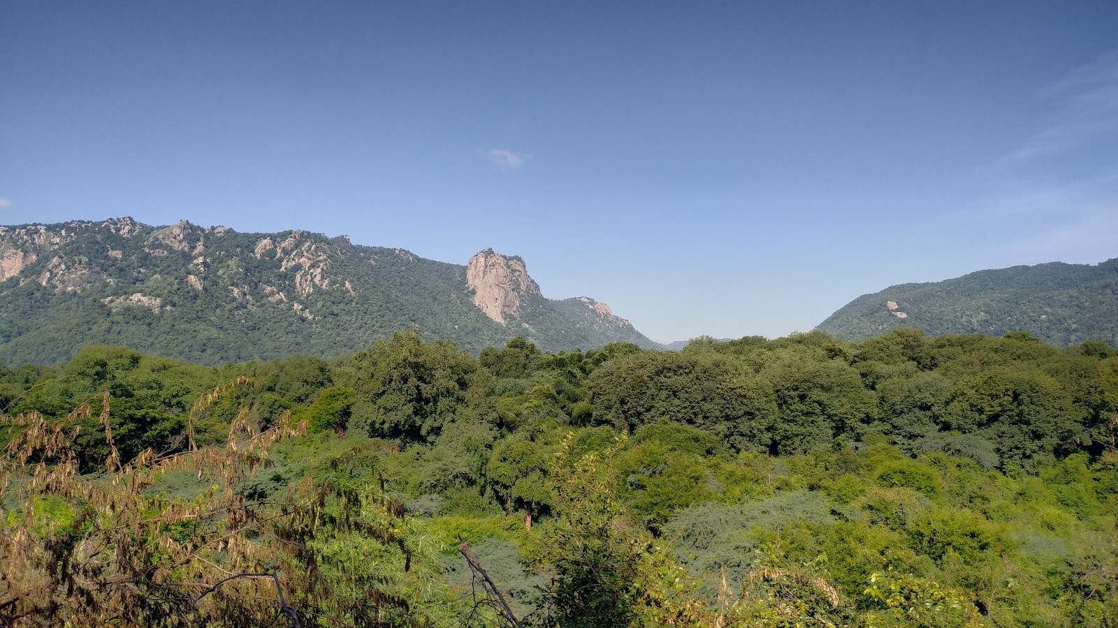 Amirthi Zoological Park